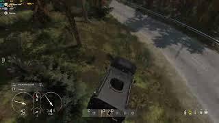 DayZ | Тигр имба имбейшая