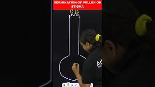 Germination Of Pollen On Stigma Diagram | Class 10 Biology (Science) #shorts #science