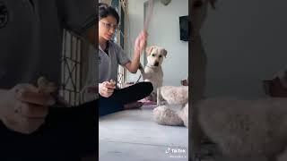 Comedy tiktok(3)