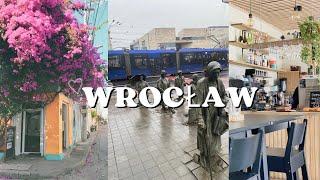 Wrocław 2023 , короткий видео влог. #влог