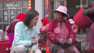 《远方的家》 20231212 沿海看中国（32） 寻味“莆鲜” “醉美”南日|CCTV中文国际