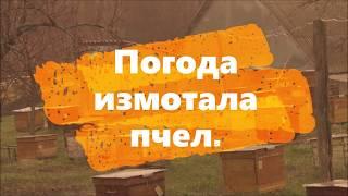 Погода негодует, а кормовые запасы у пчел заканчиваются.