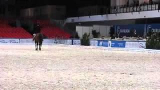 Cavaliada Poznań 2010