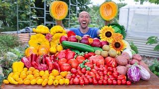 Incredible Organic Gardening Harvest, This is What I Harvested Today!