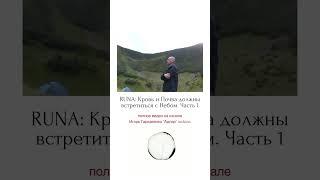 RUNA: Кровь и Почва должны встретиться с Небом. Часть 1