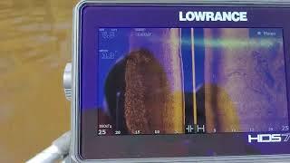 Ривьера 3200 нднд, Марлин 9.8, Lowrance HDS live-7. Обкатка комплекта 10 часов, глядя в эхолот.