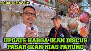 Lapak Spesialis Ikan Discus di Pasar Ikan Parung (Pade Discus)