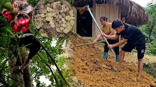 Row a tree to get tallow seeds from the high trees. Dig the foundation of a new house.