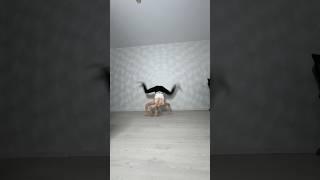 I wanted to make a spectacular video #shorts