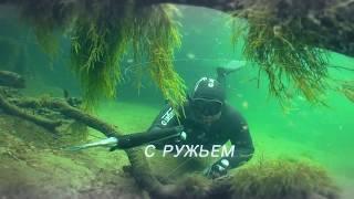 Moscow Dive Show 2018