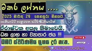 සෙනසුරු මාරුව 2025 | මකර ලග්නය | Makara lagnapalapala #capricorn #astrology