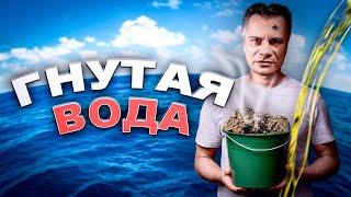 Горбатая вода – Весёлый обзор