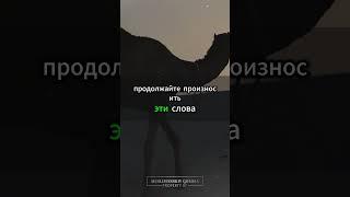 Истигфар в любых ситуациях: Ключ к покою сердца #ИстигфарВЛюбыхСитуациях #КлючКПокою