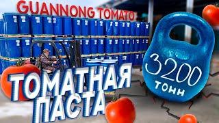 3200 ТОНН ТОМАТНОЙ ПАСТЫ в бочках оптом из Китая, Guannong Tomato