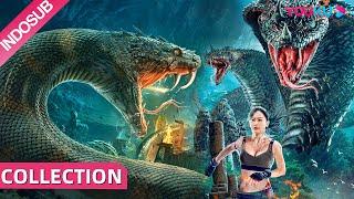 Spesial (Mutant Python+Variation Hydra) Genetik misterius yang membuat Moster besar muncul  | YOUKU