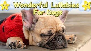 Super Calming Sleep Music For French Bulldogs  Relax Your Puppy