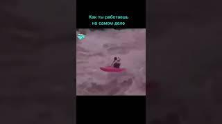  Твоя работа на вебке по мнению других  #юмор #работанадому #мем #tiktok #вебка