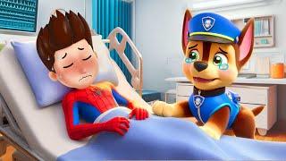 What Happened to SPIDER MAN RYDER?! CHASE Please Don't Cry | So Sad Story | Paw Patrol 3D Animation