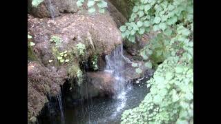 Cascada Bigăr_2009-08-08