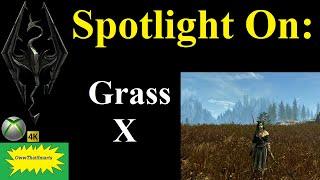 Skyrim SE (mods) - Spotlight On: Grass X