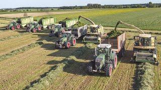  UR BLEJK - Zbiór Traw Na Wielką Skalę - 6 Zestawów i 2 Sieczkarnie! [BIG GRASS SILAGE IN POLAND]