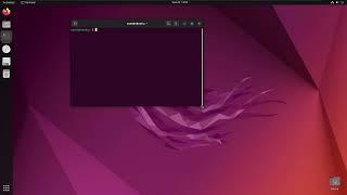 Install Raylib in Ubuntu, and other distros