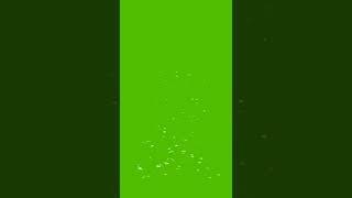 ПУЗЫРИ 4 ВИДА на ЗЕЛЕНОМ ФОНЕ / ФУТАЖ ПУЗЫРИ #shorts
