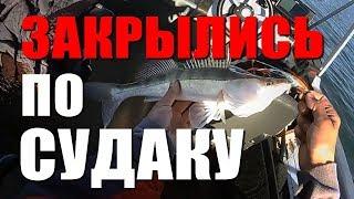 Ловим ОСЕННЕГО судака. Как выглядит рыба на эхолоте | Рыбалка с FishingSib 2018