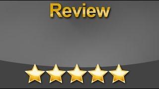 Marketing 360 Solutions, LLC Lakeland Exceptional Five Star Review by Madison M.