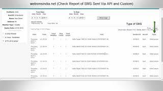 How to Check API Custom SMS's Report.