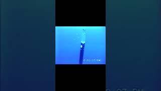 Fun Fact! Sonobuoys Are Anti-Submarine Warfare Devices...