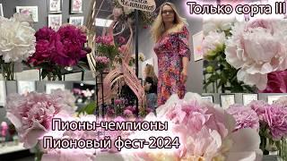 Пионы-чемпионы выставки Пионовый фест 2024