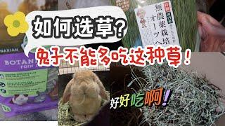 兔奴吐血整理的草草大全：吐槽一箱烂草，这个网红牌子真的无语｜新手养兔攻略｜结尾来个小开箱-日本福冈燕麦草到啦 ｜Small pets select草质量超差