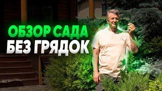 ОБЗОР САДА БЕЗ ГРЯДОК. Современный участок. Сад для души.