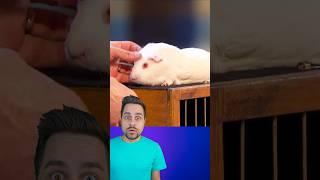 SHOCKING MAGIC TRICK REVEALED! 