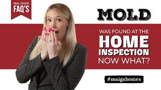 We Found Mold at the Home Inspection, Now What? | Maiga Homes | Real Estate FAQ’s