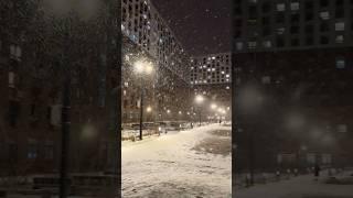 Winter Court, Moscow, Russia, 18.02.2025