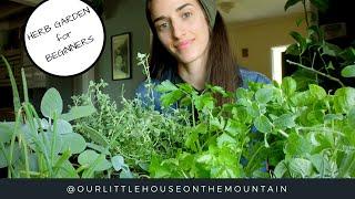 HERB GARDENS BEGINNERS GUIDE || HOW TO || GARDEN BASICS