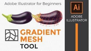 Adobe Illustrator: How to use the gradient mesh tool for beginners