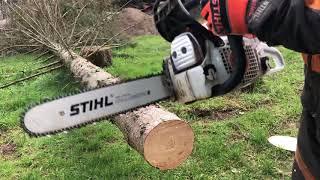 Stihl MS 251