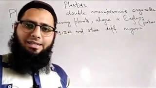 Plastids and its types