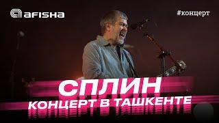 Сплин. Концерт в Ташкенте 2023 #сплин