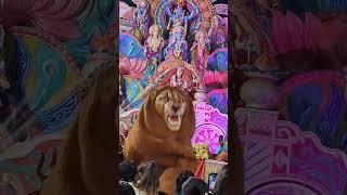 #mere naino ki pyas #matarani #jai mata di #trending #shorts #jagran #sher #ambey maa