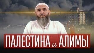 Палестина и Алимы