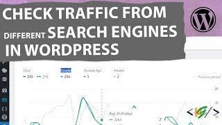 How to Check Traffic from Different Search Engine in WordPress | Referrals from Search Engines