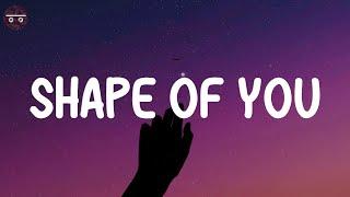 Shape of You - Ed Sheeran (Lyrics) | Charlie Puth, Shawn Mendes, Ellie Goulding,...