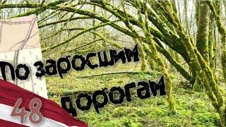 48. Разведочный коп по заброшенным заросшим дорогам. Коп в Латвии.