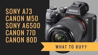 Sony a7 III vs Canon M50 vs Sony a6500 vs Canon 77D 80D - What to BUY?