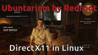 DirectX11 в Linux