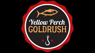 Fishing planet PS4 #  Охота на золотую рыбку - Yellow Perch Gold Rush